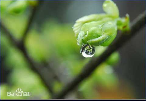 喜訊！2017新年開(kāi)工第一份中標通知書(shū)