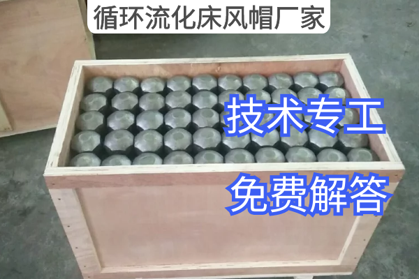 循環(huán)流化床風(fēng)帽廠(chǎng)家
